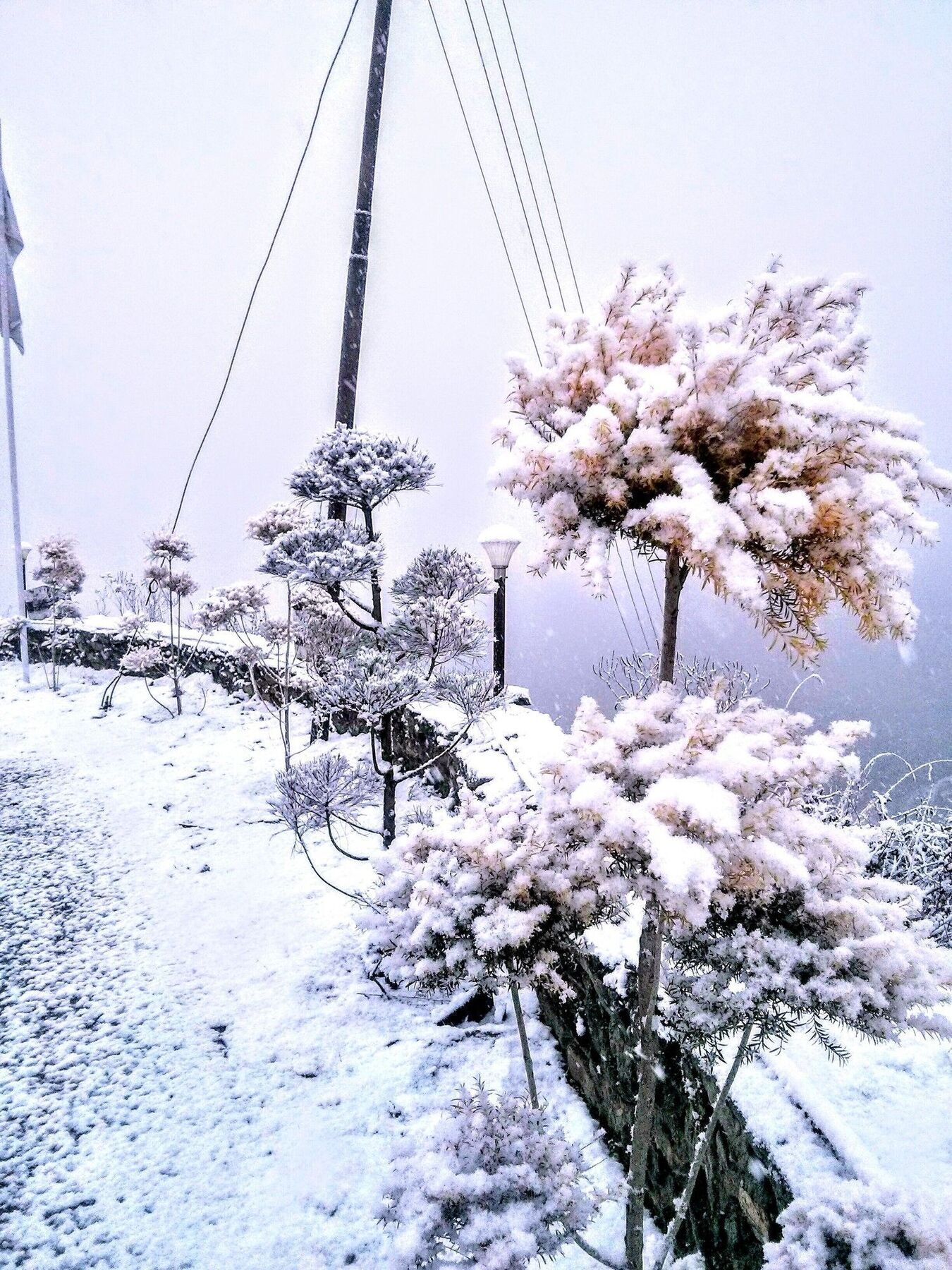 The Swiss Village Resort Nainital Exteriör bild